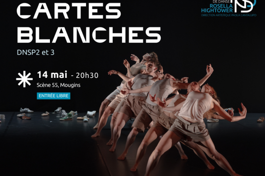 Cartes Blanches 2025 - DNSP 2 et 3